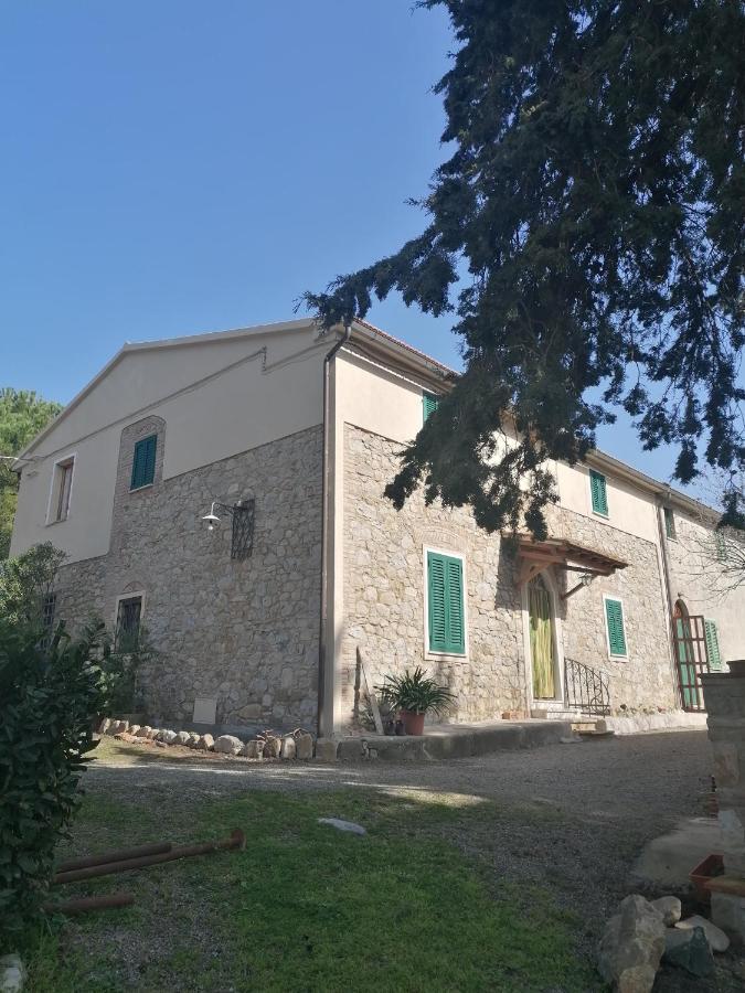 Villa La Casa Dei Nonni Chianni Exterior foto